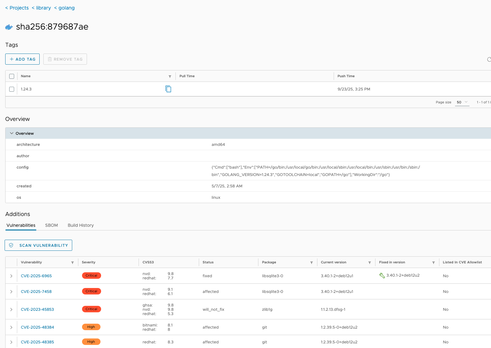 Vulnerability report